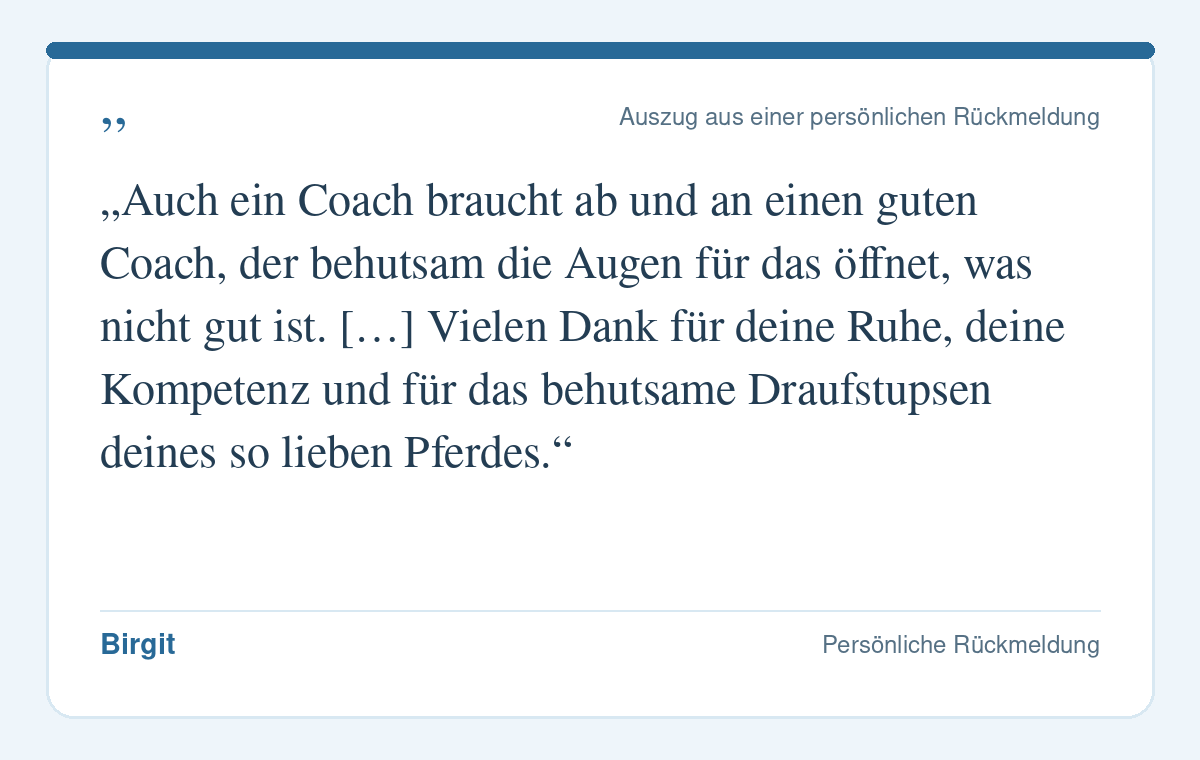 Wörtlicher Auszug aus einer persönlichen Rückmeldung von Birgit zum pferdegestützten Coaching mit Corinne Spickmann und Dimmi.